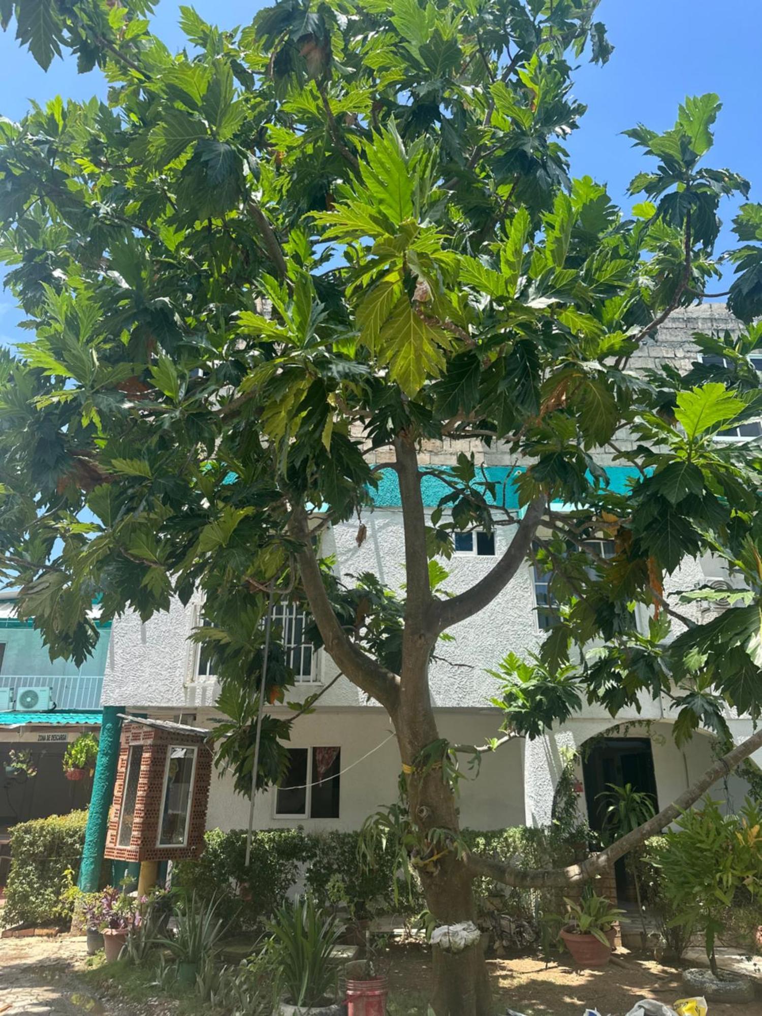 Hosteria Cattleya San Andrés Exteriér fotografie